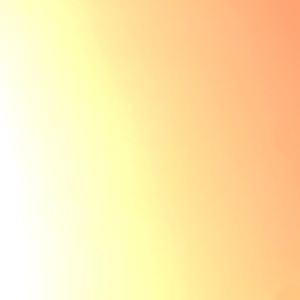 Meet your Posher, Lizbeth